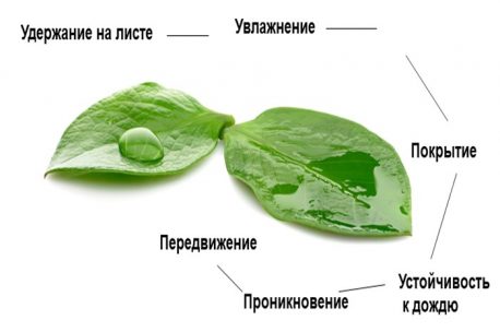 что такое рабочий раствор удобрения. Смотреть фото что такое рабочий раствор удобрения. Смотреть картинку что такое рабочий раствор удобрения. Картинка про что такое рабочий раствор удобрения. Фото что такое рабочий раствор удобрения