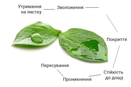 Дія Супер КАПу