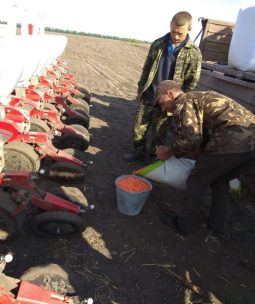 Посів гібриду кукурудзи Максима в ФГ Шателюк, Житомирська область, 15 травня 2018р.