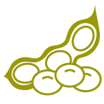 soy-icon