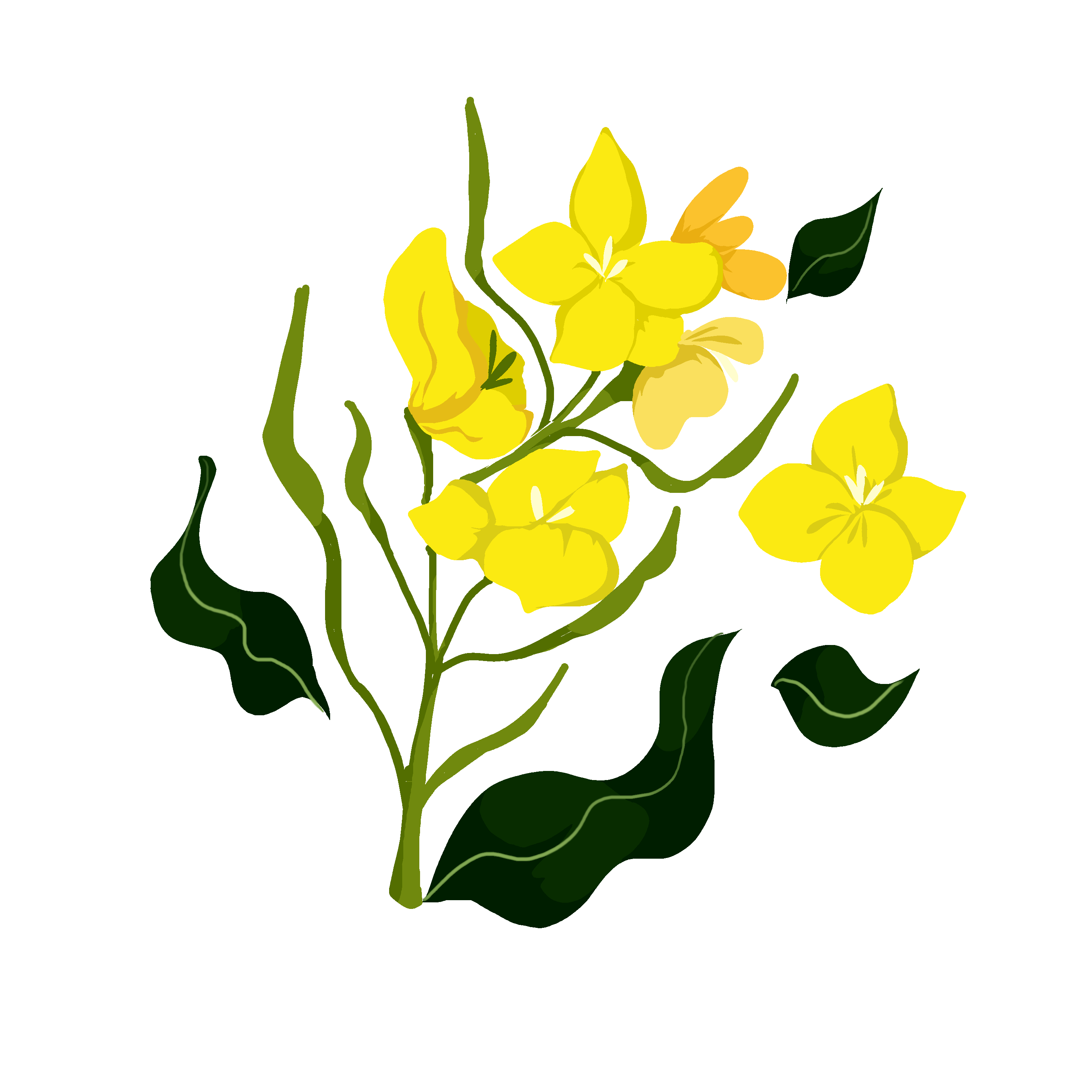 raps_logo